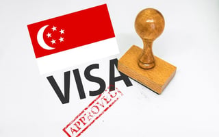 Singapore's e-visa system