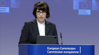 European Commission spokesperson for internal affairs, Anitta Hipper