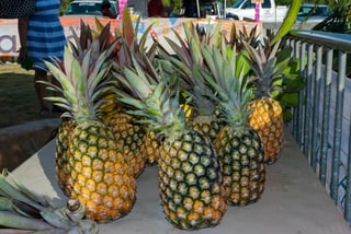 Eleuthera-Pineapple-Festival
