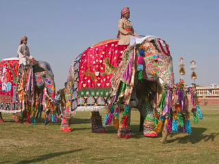 Elephant Festival (Jaipur, Rajasthan)